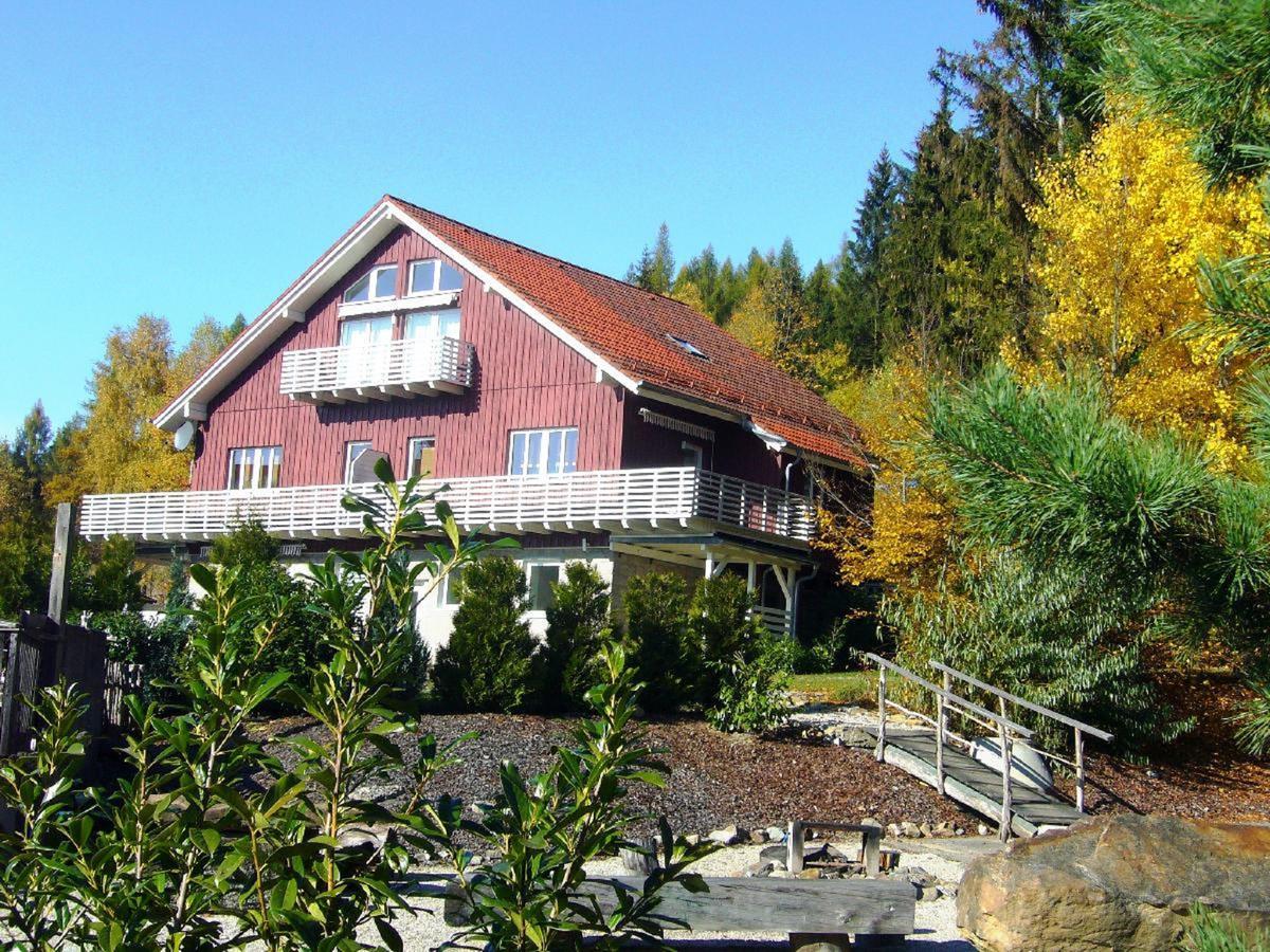 Ferienwohnungen Schoenbachtal Drachselsried Ngoại thất bức ảnh